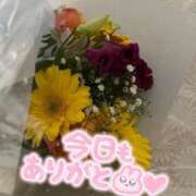 ヒメ日記 2025/07/27 19:13 投稿 京野　すみれ しこたま奥様 札幌店