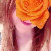 ヒメ日記 2025/08/17 22:35 投稿 京野　すみれ しこたま奥様 札幌店