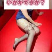 ヒメ日記 2025/11/24 09:45 投稿 京野　すみれ しこたま奥様 札幌店