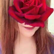 ヒメ日記 2025/12/01 09:55 投稿 京野　すみれ しこたま奥様 札幌店