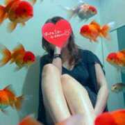 ヒメ日記 2026/01/12 10:49 投稿 京野　すみれ しこたま奥様 札幌店