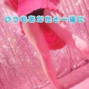 ヒメ日記 2026/02/25 23:26 投稿 京野　すみれ しこたま奥様 札幌店