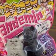 ヒメ日記 2025/02/16 00:09 投稿 さな チェックイン素人専門大人女子