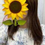 ヒメ日記 2025/07/05 16:09 投稿 さな チェックイン素人専門大人女子