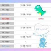 ヒメ日記 2025/05/19 19:57 投稿 丹波ハヅキ セレブクィーン