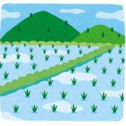 ヒメ日記 2025/05/22 13:23 投稿 丹波ハヅキ セレブクィーン