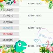 ヒメ日記 2025/07/29 12:07 投稿 丹波ハヅキ セレブクィーン