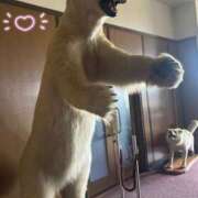 ヒメ日記 2024/12/07 10:48 投稿 槇田(まきた) 熟女出逢い会『百合の園』目黒店