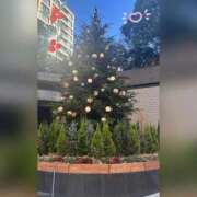 ヒメ日記 2024/12/15 09:48 投稿 槇田(まきた) 熟女出逢い会『百合の園』目黒店