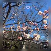 ヒメ日記 2025/03/09 22:38 投稿 槇田(まきた) 熟女出逢い会『百合の園』目黒店