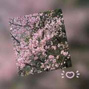 ヒメ日記 2025/03/15 17:58 投稿 槇田(まきた) 熟女出逢い会『百合の園』目黒店