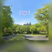 ヒメ日記 2025/04/22 13:18 投稿 槇田(まきた) 熟女出逢い会『百合の園』目黒店