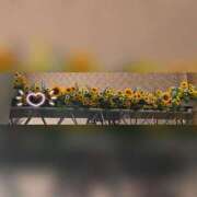 ヒメ日記 2025/06/28 21:28 投稿 槇田(まきた) 熟女出逢い会『百合の園』目黒店