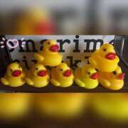 ヒメ日記 2025/07/16 13:20 投稿 槇田(まきた) 熟女出逢い会『百合の園』目黒店