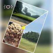 ヒメ日記 2025/08/29 14:08 投稿 槇田(まきた) 熟女出逢い会『百合の園』目黒店