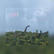 ヒメ日記 2025/10/24 18:38 投稿 槇田(まきた) 熟女出逢い会『百合の園』目黒店