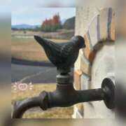 槇田(まきた) 今日は出勤日✨ 熟女出逢い会『百合の園』目黒店