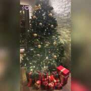 ヒメ日記 2025/12/20 10:48 投稿 槇田(まきた) 熟女出逢い会『百合の園』目黒店