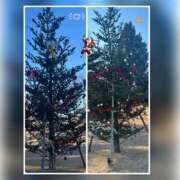 ヒメ日記 2025/12/25 11:58 投稿 槇田(まきた) 熟女出逢い会『百合の園』目黒店