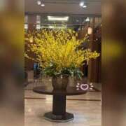 槇田(まきた) 今日は出勤日✨ 熟女出逢い会『百合の園』目黒店