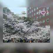 ヒメ日記 2026/03/29 20:38 投稿 槇田(まきた) 熟女出逢い会『百合の園』目黒店