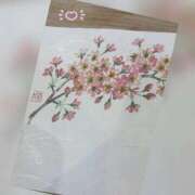 ヒメ日記 2026/04/05 00:48 投稿 槇田(まきた) 熟女出逢い会『百合の園』目黒店