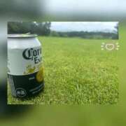 ヒメ日記 2026/04/14 18:08 投稿 槇田(まきた) 熟女出逢い会『百合の園』目黒店