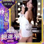 ヒメ日記 2025/11/16 19:54 投稿 IROHA GINGIRA☆TOKYO～ギンギラ東京～