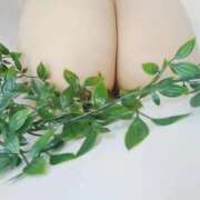 ヒメ日記 2025/11/25 13:56 投稿 ココア秘書 秘書の品格 クラブアッシュ ヴァリエ