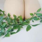 ヒメ日記 2025/11/28 16:01 投稿 ココア秘書 秘書の品格 クラブアッシュ ヴァリエ