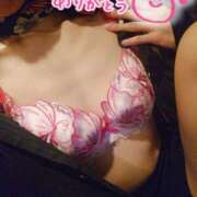 ヒメ日記 2025/11/29 02:58 投稿 ココア秘書 秘書の品格 クラブアッシュ ヴァリエ