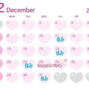 ヒメ日記 2025/12/09 11:08 投稿 ココア秘書 秘書の品格 クラブアッシュ ヴァリエ