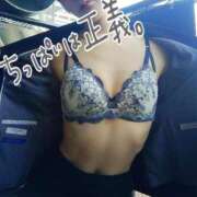 ヒメ日記 2025/12/29 20:42 投稿 ココア秘書 秘書の品格 クラブアッシュ ヴァリエ