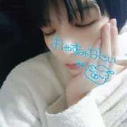 ヒメ日記 2026/02/01 03:08 投稿 ココア秘書 秘書の品格 クラブアッシュ ヴァリエ