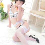 ヒメ日記 2026/02/17 11:43 投稿 ココア秘書 秘書の品格 クラブアッシュ ヴァリエ