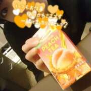 ヒメ日記 2026/03/10 23:18 投稿 ココア秘書 秘書の品格 クラブアッシュ ヴァリエ