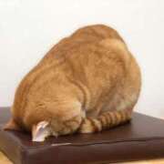 ヒメ日記 2026/03/11 12:52 投稿 ココア秘書 秘書の品格 クラブアッシュ ヴァリエ