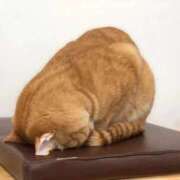 ヒメ日記 2026/03/11 13:10 投稿 ココア秘書 秘書の品格 クラブアッシュ ヴァリエ