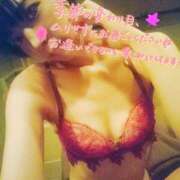 ヒメ日記 2026/03/12 23:58 投稿 ココア秘書 秘書の品格 クラブアッシュ ヴァリエ