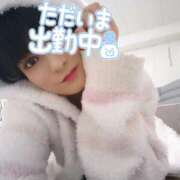 ヒメ日記 2026/03/15 17:07 投稿 ココア秘書 秘書の品格 クラブアッシュ ヴァリエ