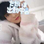 ヒメ日記 2026/03/15 17:18 投稿 ココア秘書 秘書の品格 クラブアッシュ ヴァリエ