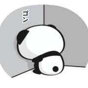 ヒメ日記 2026/03/16 13:46 投稿 ココア秘書 秘書の品格 クラブアッシュ ヴァリエ