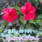 ヒメ日記 2024/12/26 10:08 投稿 北野 ミサ こあくまな熟女たち 鶯谷・日暮里店(KOAKUMAグループ)