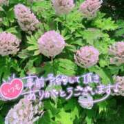 ヒメ日記 2024/12/26 10:25 投稿 北野 ミサ こあくまな熟女たち 鶯谷・日暮里店(KOAKUMAグループ)