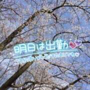 ヒメ日記 2025/03/30 16:50 投稿 北野 ミサ こあくまな熟女たち 鶯谷・日暮里店(KOAKUMAグループ)