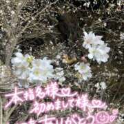 ヒメ日記 2025/04/04 15:19 投稿 北野 ミサ こあくまな熟女たち 鶯谷・日暮里店(KOAKUMAグループ)