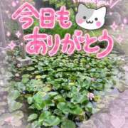 ヒメ日記 2025/06/05 18:00 投稿 北野 ミサ こあくまな熟女たち 鶯谷・日暮里店(KOAKUMAグループ)