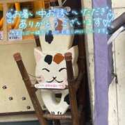 ヒメ日記 2025/07/01 17:16 投稿 北野 ミサ こあくまな熟女たち 鶯谷・日暮里店(KOAKUMAグループ)