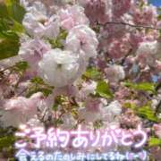 ヒメ日記 2026/04/22 08:55 投稿 北野 ミサ こあくまな熟女たち 鶯谷・日暮里店(KOAKUMAグループ)