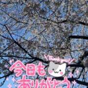 ヒメ日記 2025/04/10 17:37 投稿 北野 ミサ こあくまな熟女たち 上野・御徒町店 (KOAKUMAグループ)